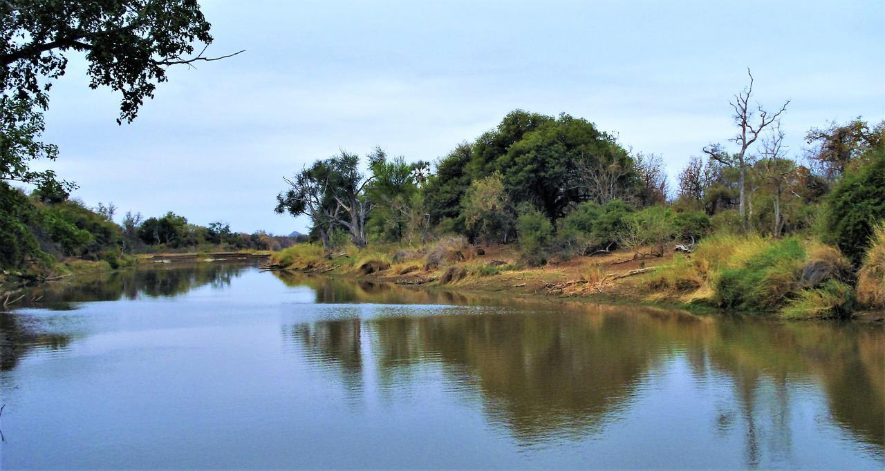 Limpokwena Nature Reserve Tokio Exteriör bild
